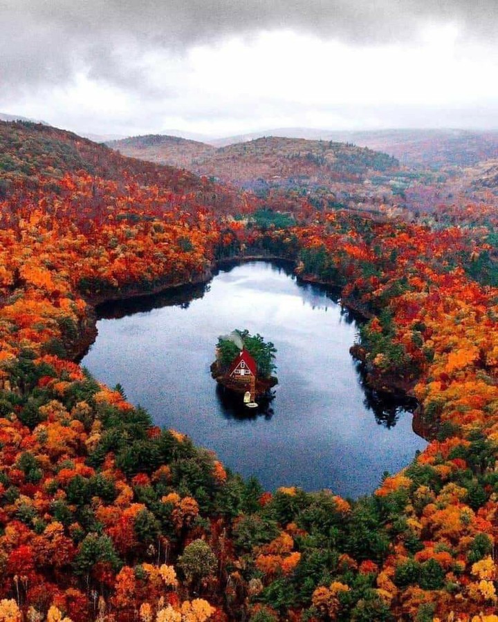 fall