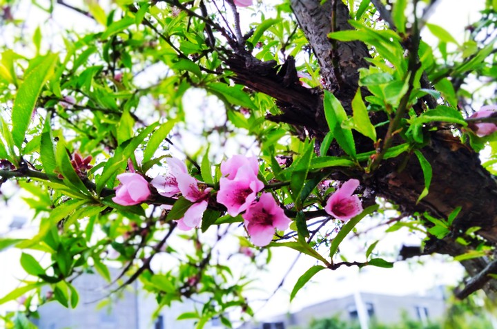 Nature : the best creator for a reason