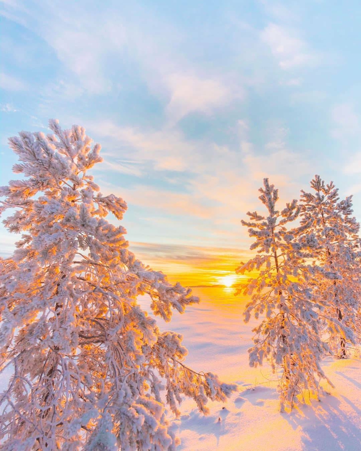 winter