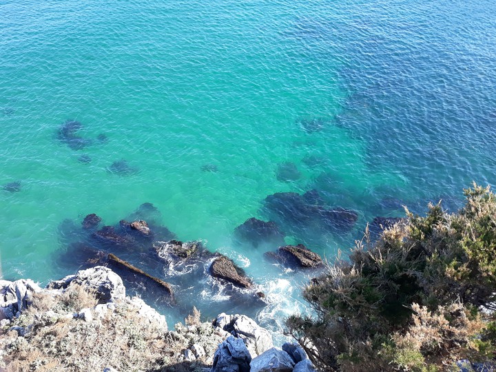 Background of South Korea