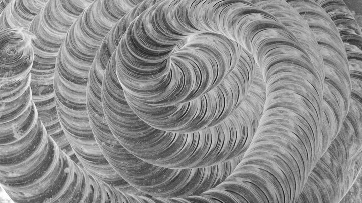 circle