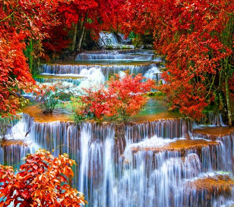 pond, autumn háttérképek