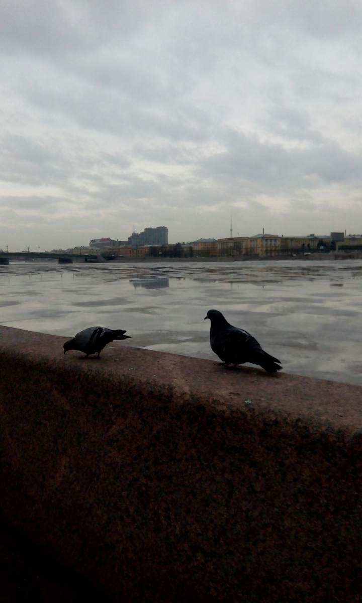 Спб