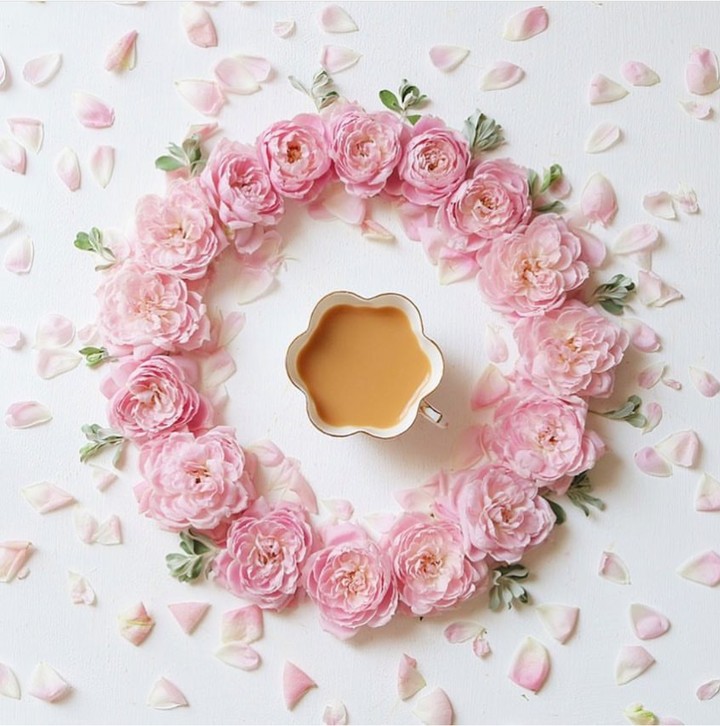 good morning