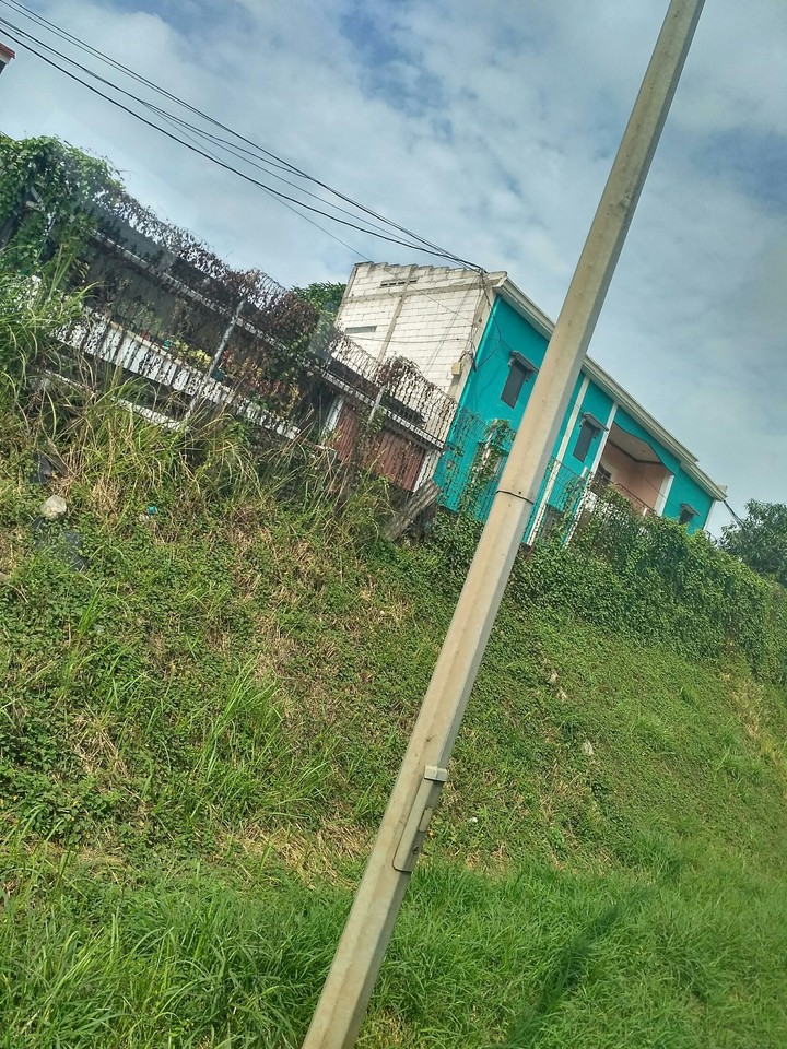 just a pole