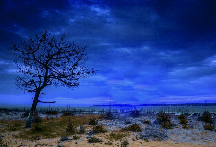 Blue sky...