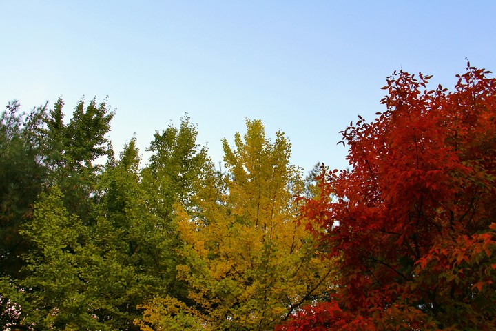autumn