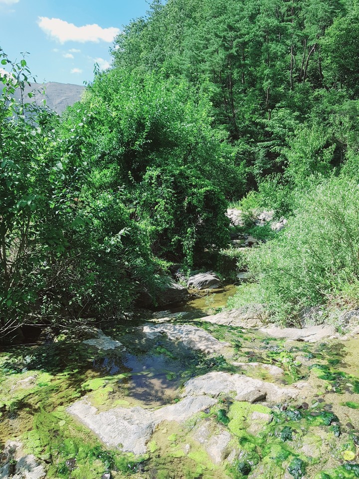 A running stream