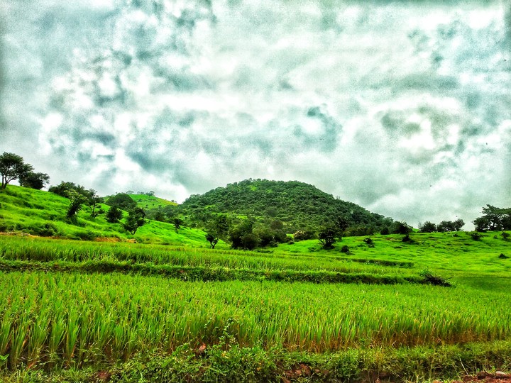 #nature