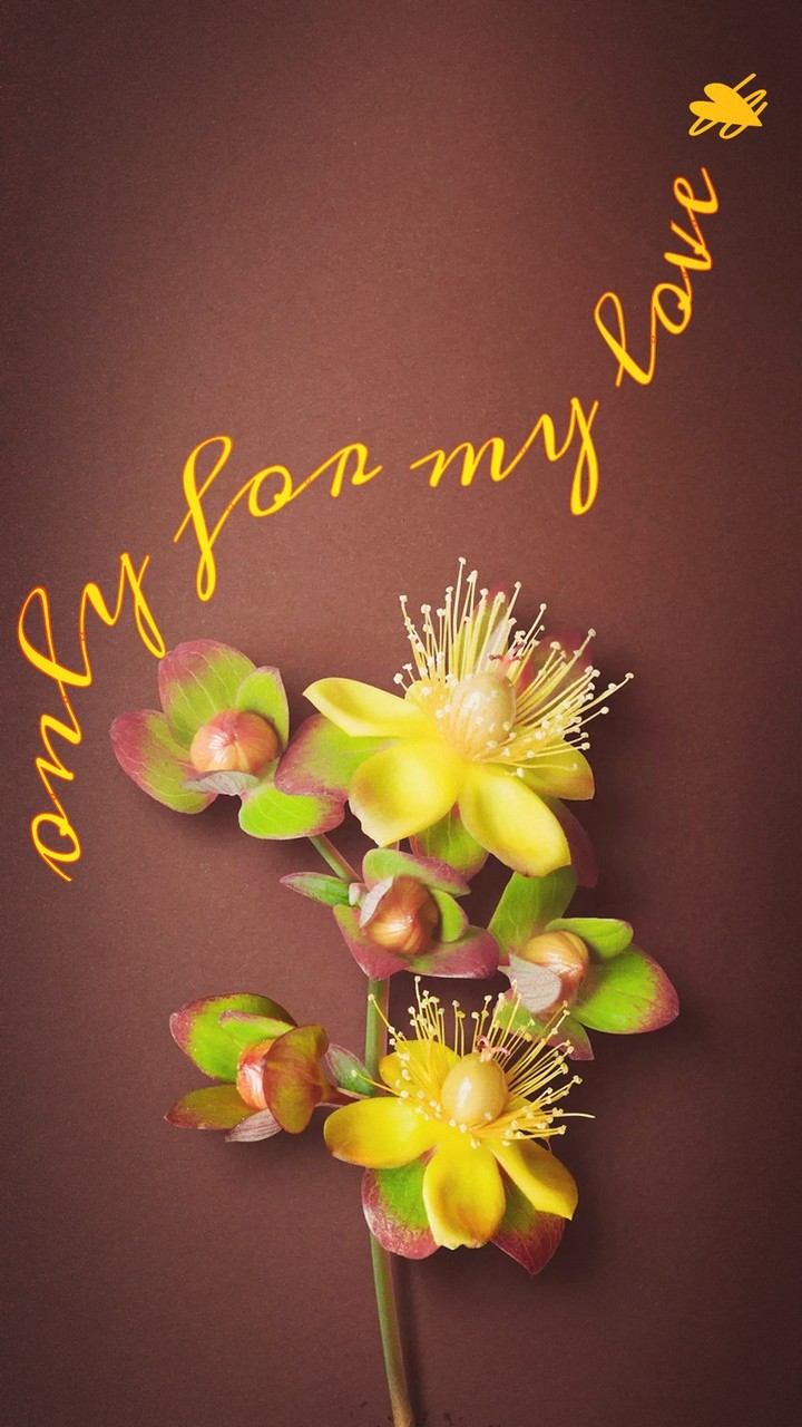 only for my love