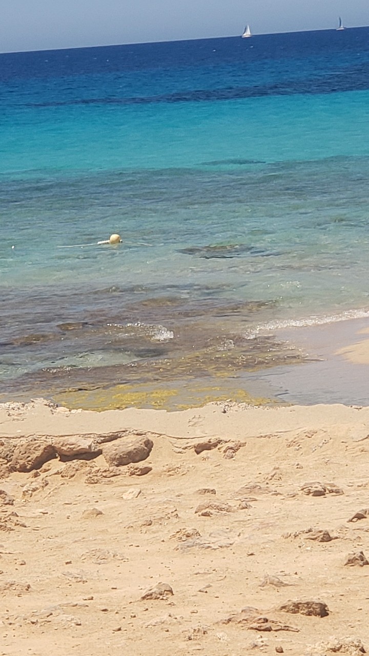 Ibiza
