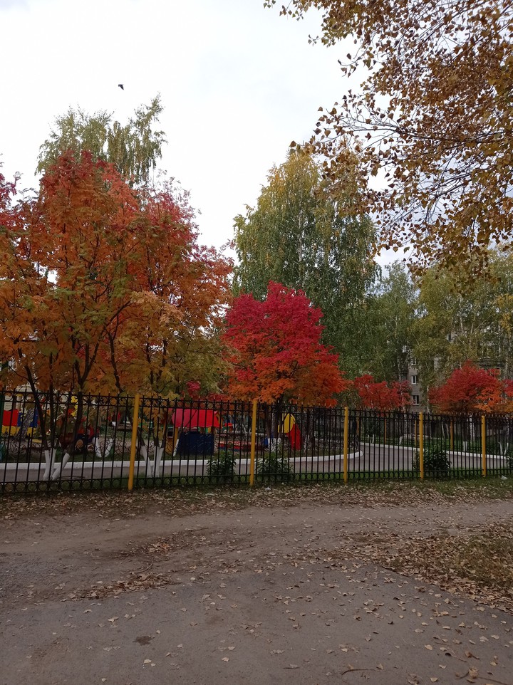 Осенние деревья
