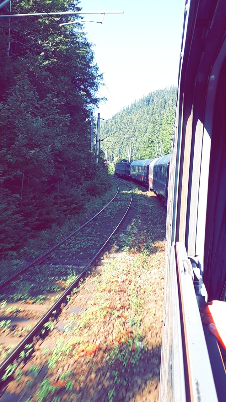 Trip with train 