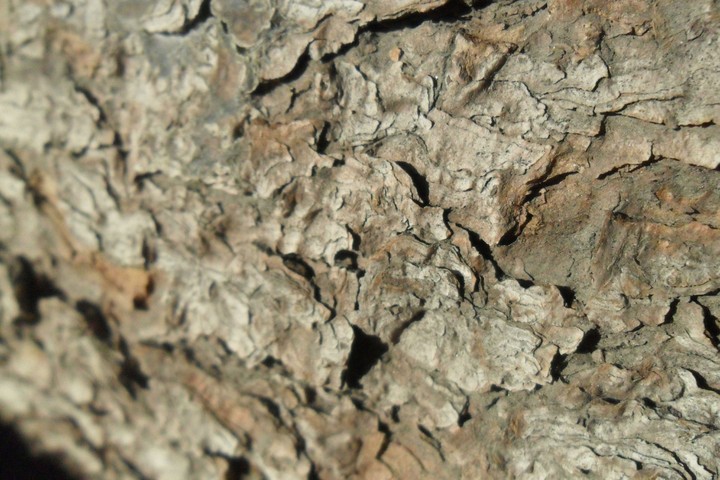 Macro.