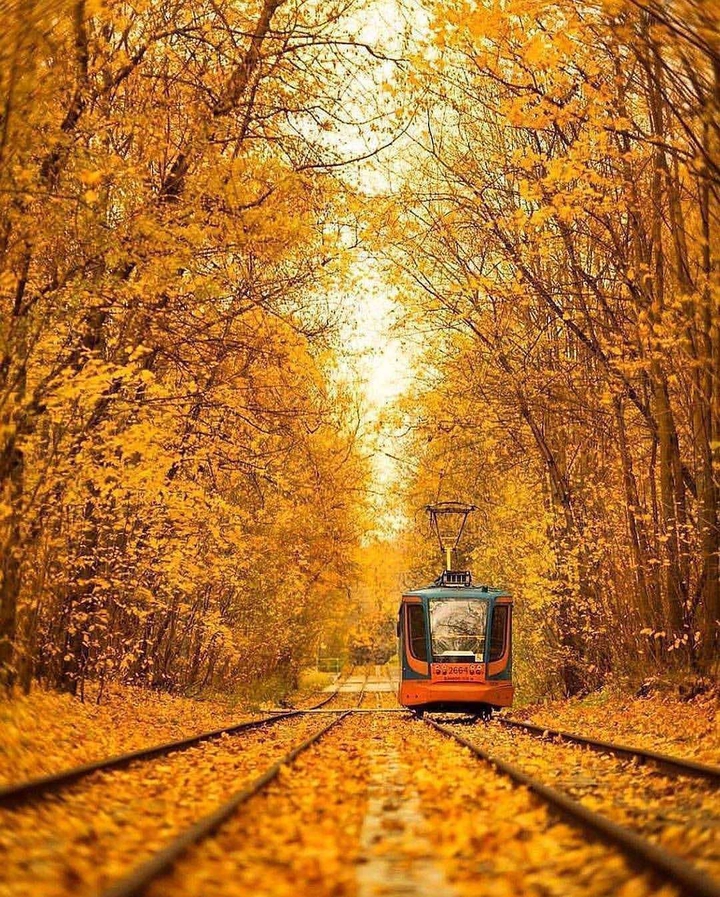 train