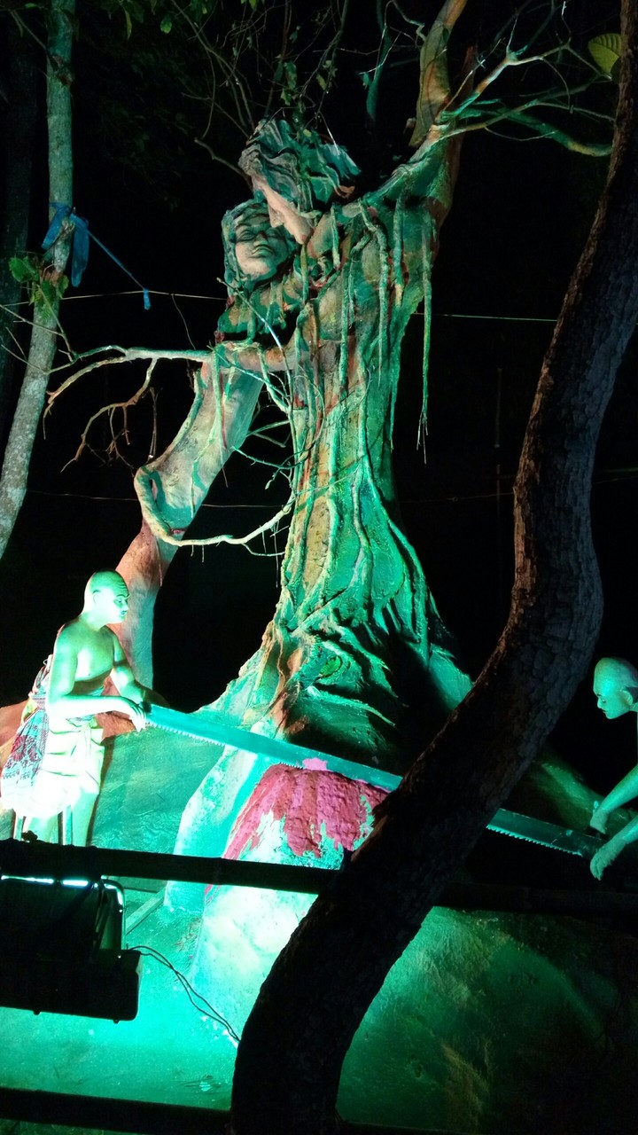 during pathsala raas mohotsov