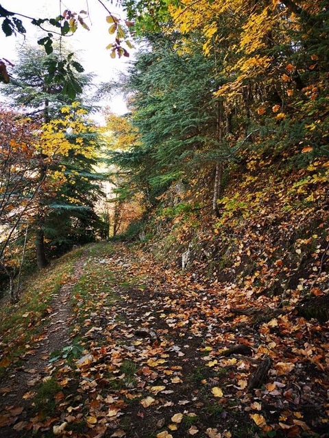 automne