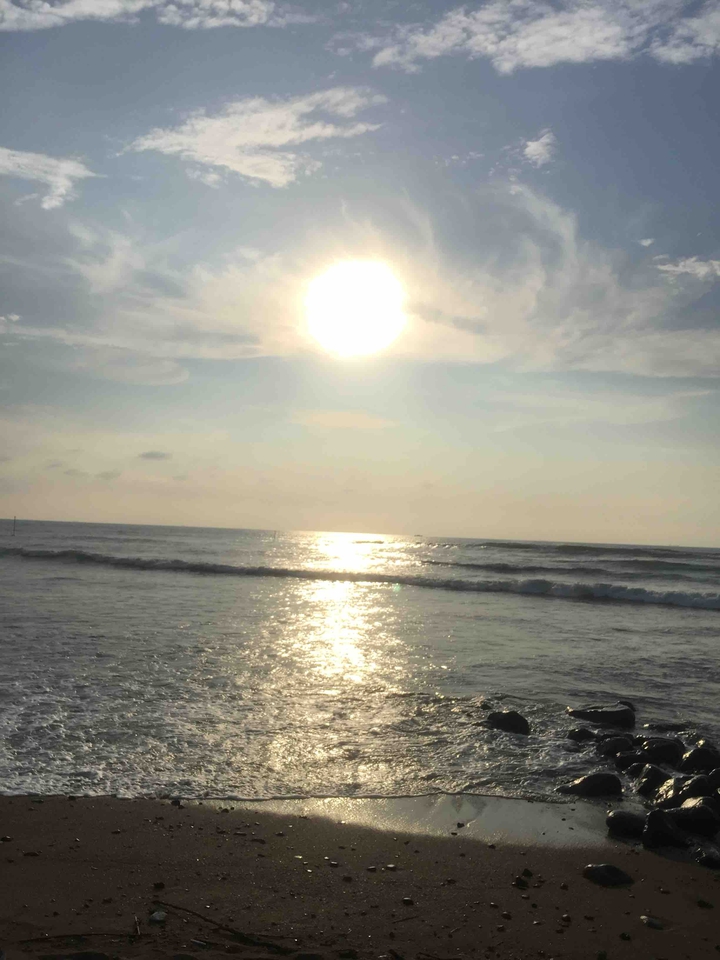 海