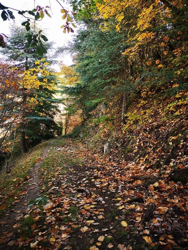 automne