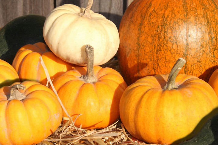 Pumpkins