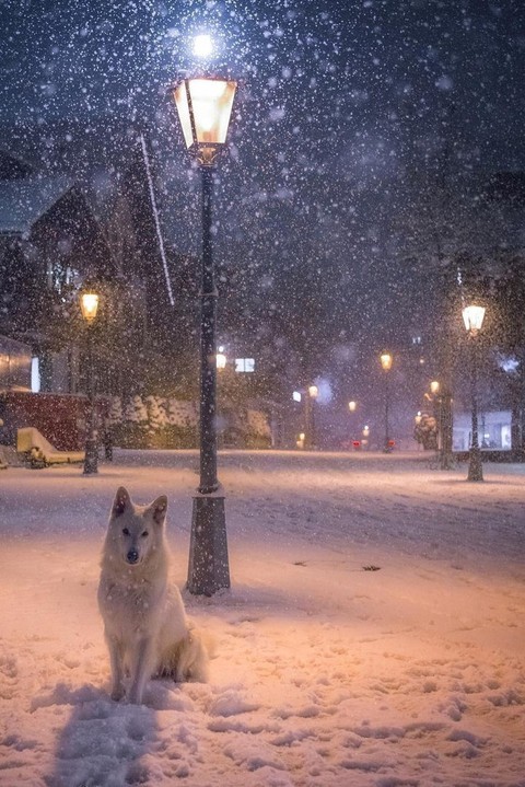 зима