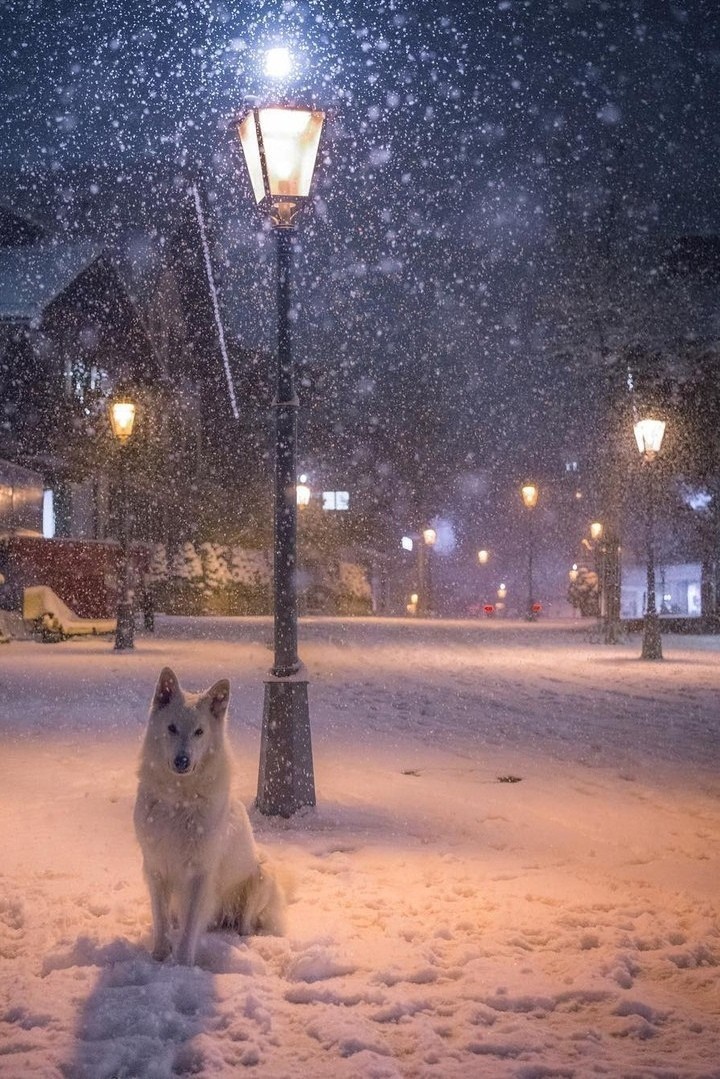 зима