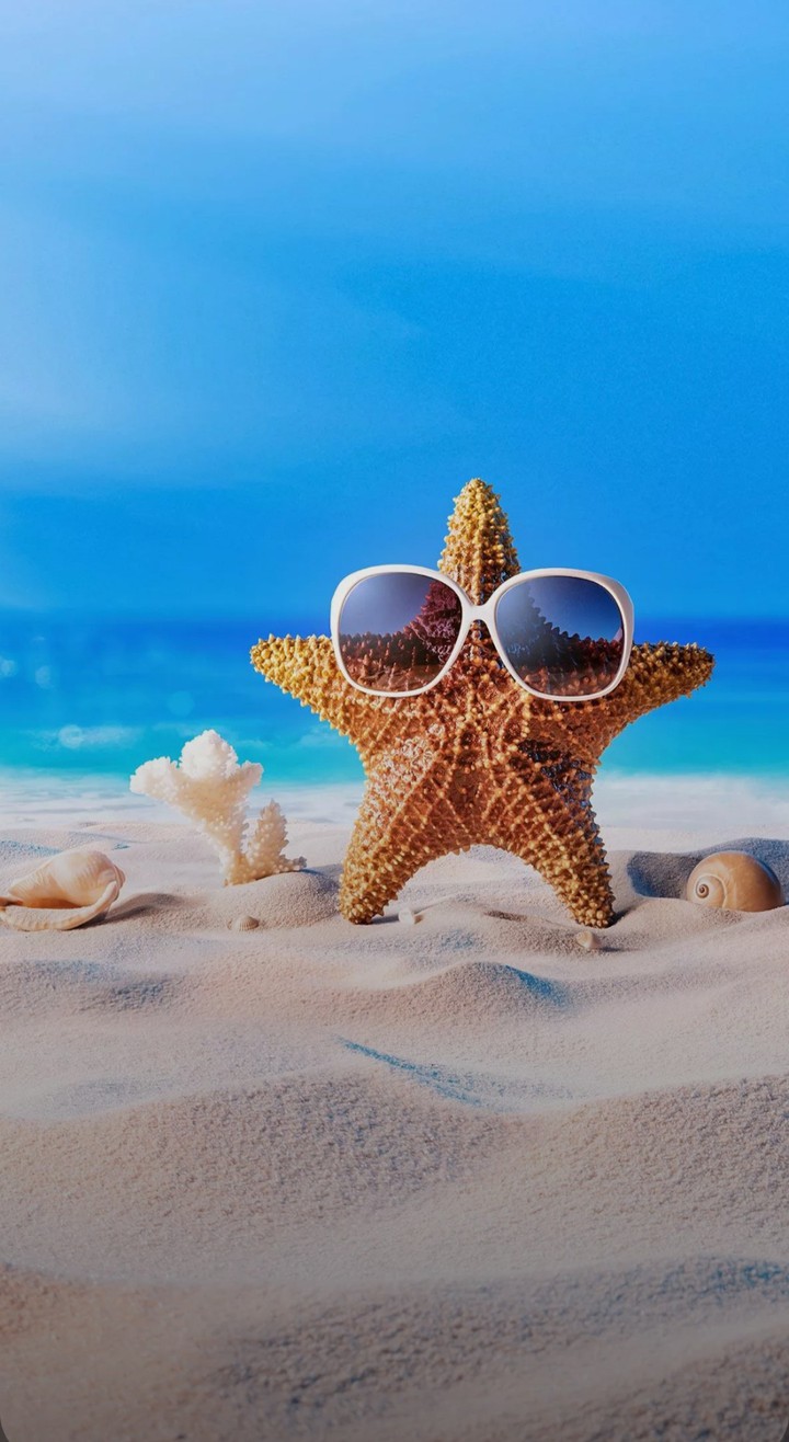 Feel like star ; )