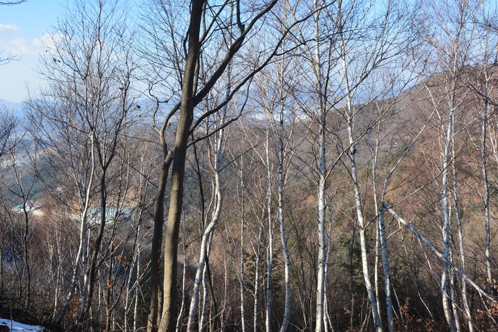 천마산이미지