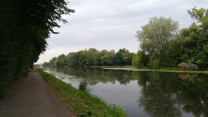 Wilanów 5