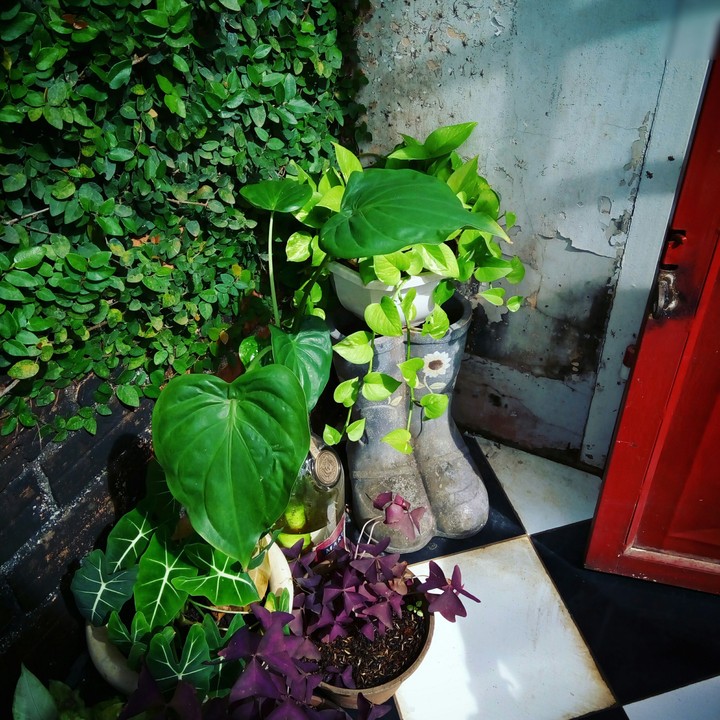 The corner