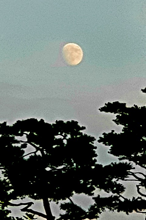 天空, 月光桌布