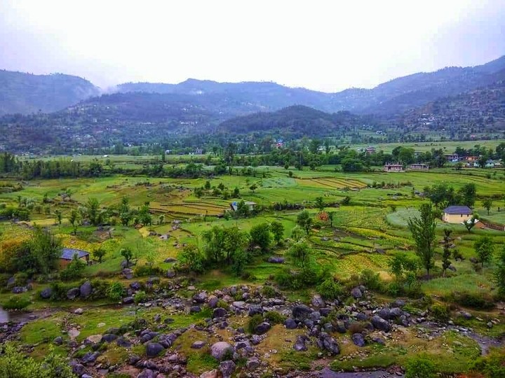Life and Nature
