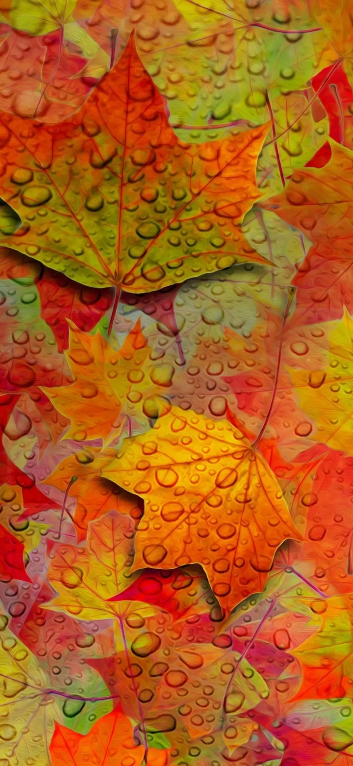 leaf