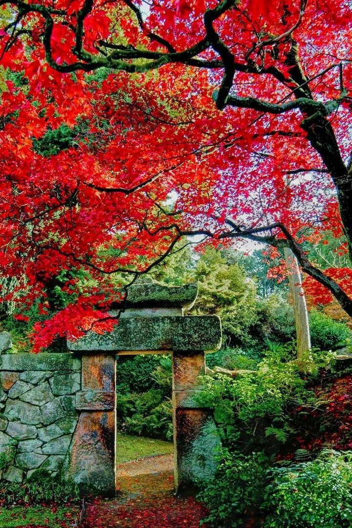 Autumn Garden 6