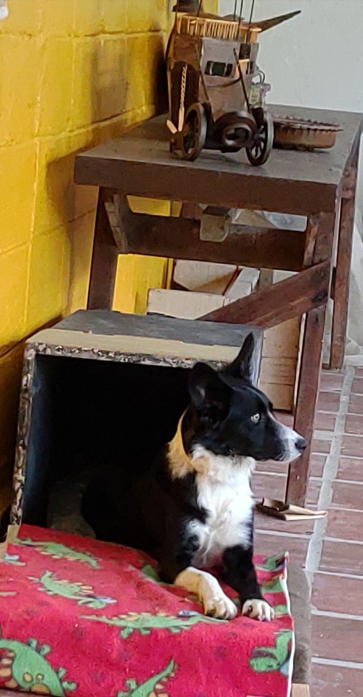 Lua Luana ❤️