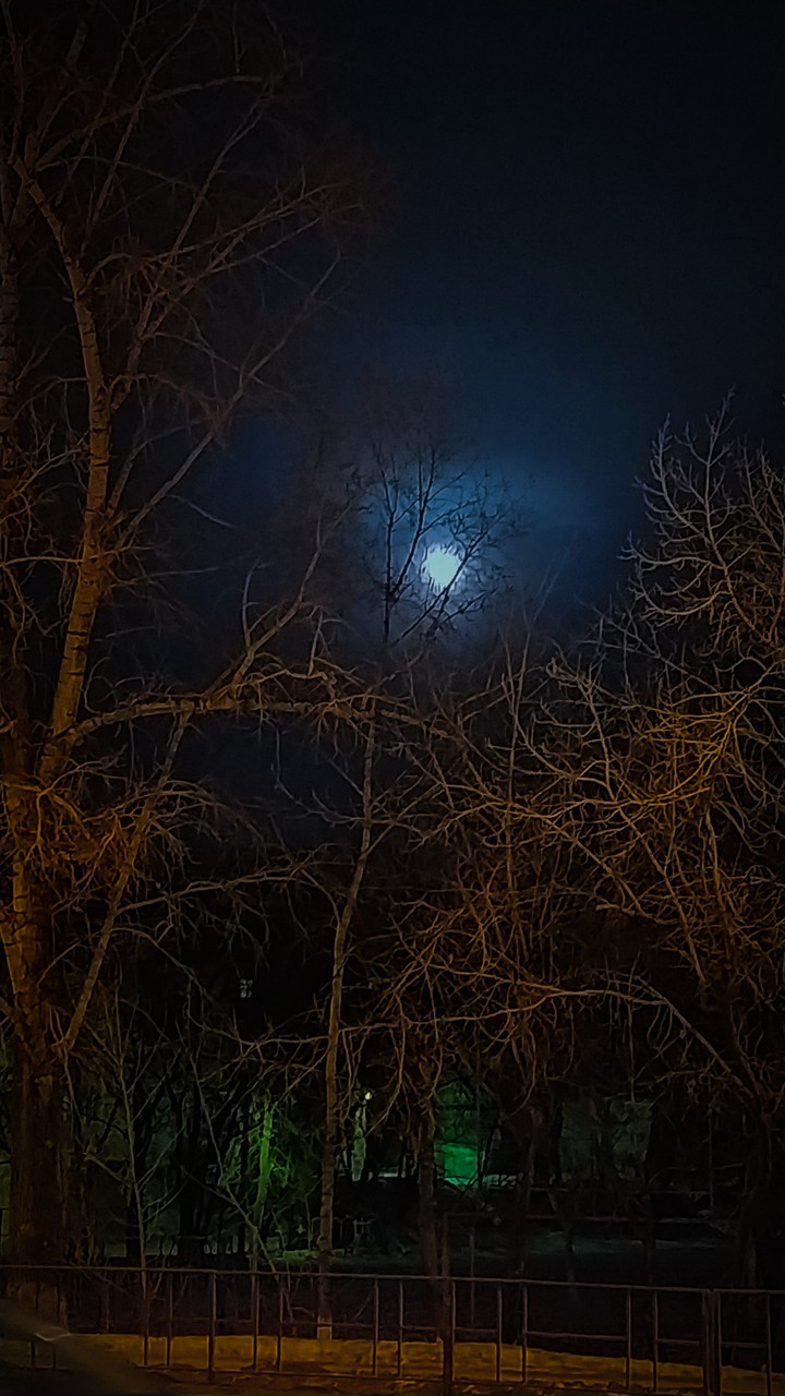 Moonlight