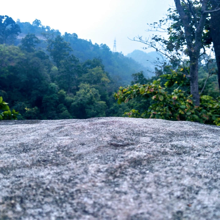 view