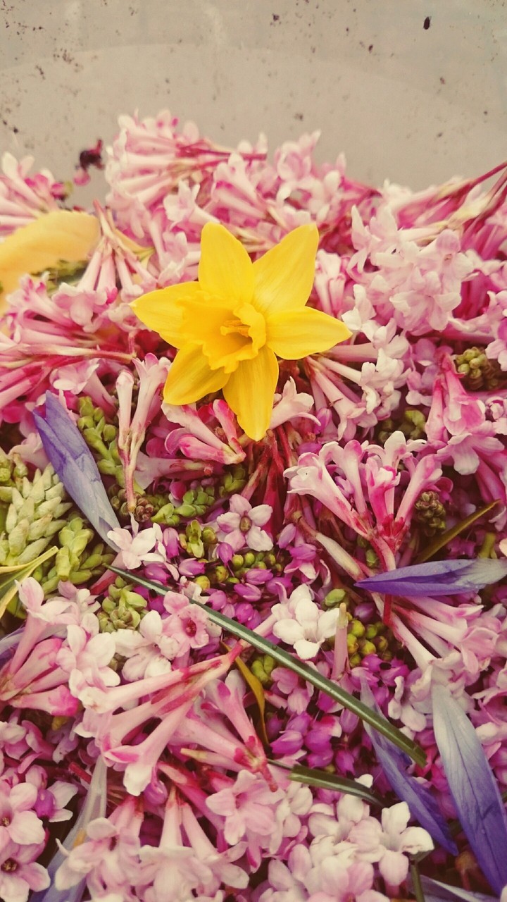 Flowerpower