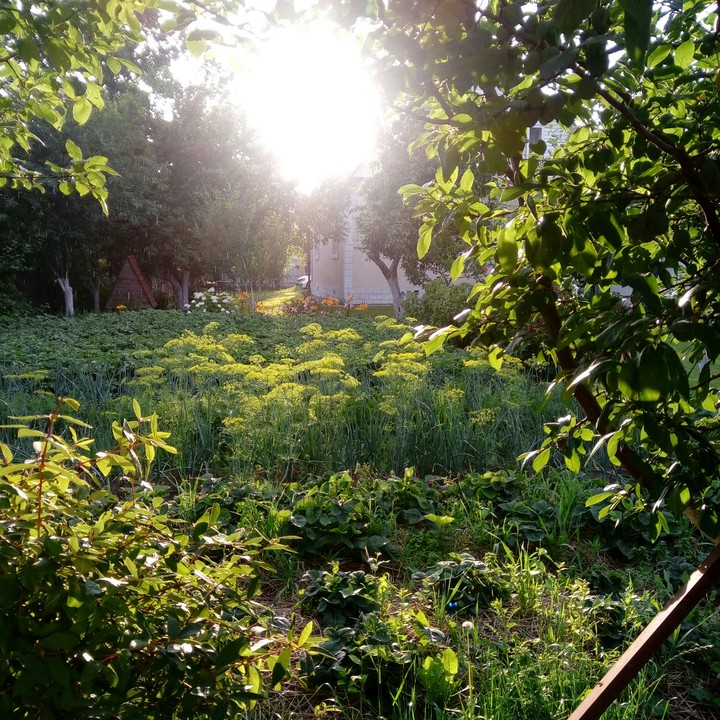 Sweet summer day