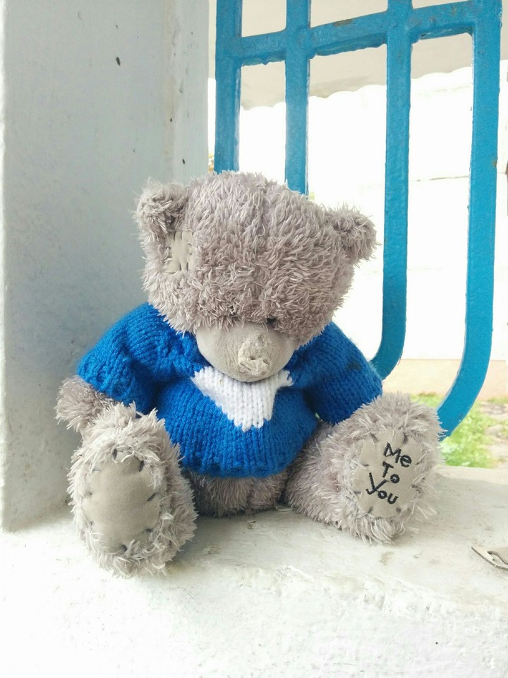 teddy bear