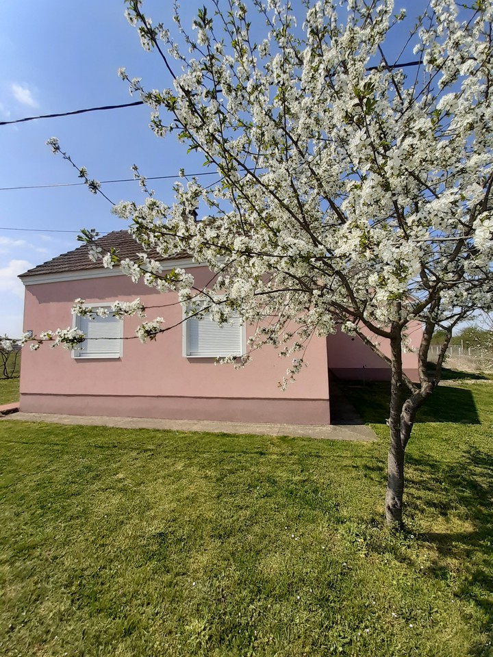 Spring house