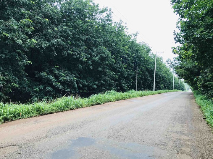 alone road