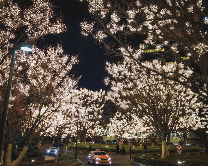 Christmas is coming
