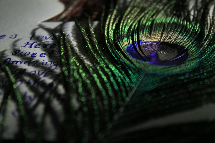feather