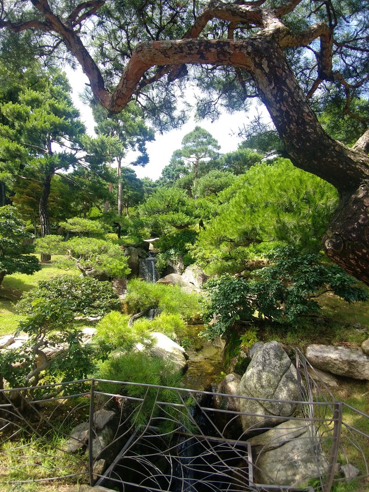 수목원 arboretum