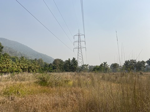 Rural India