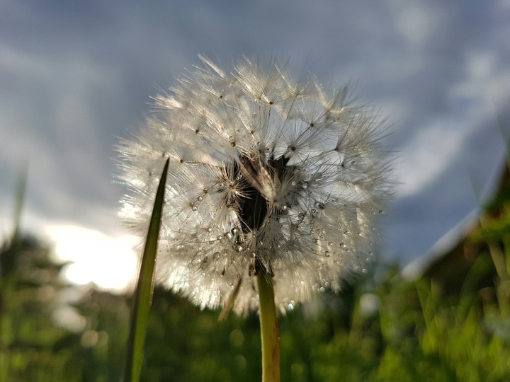after rain