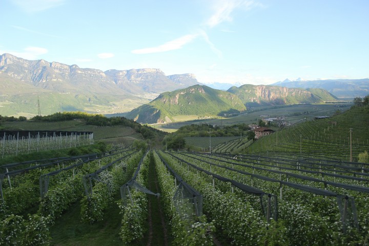 Italy