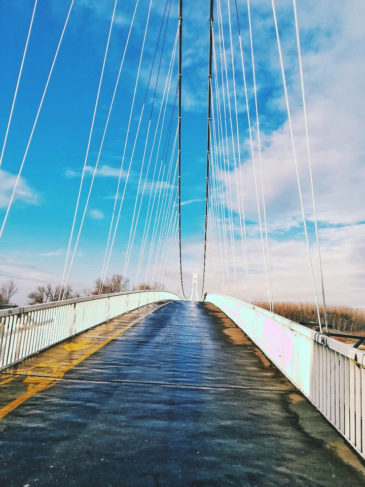 Bridge