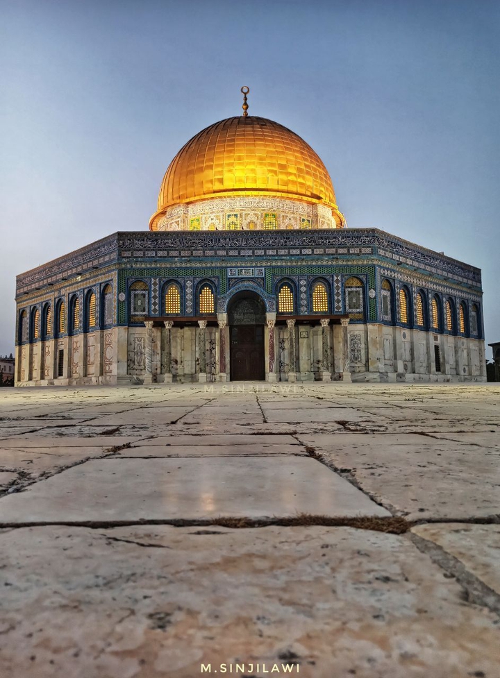 free palestine